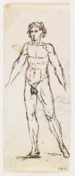 Standing Nude Male